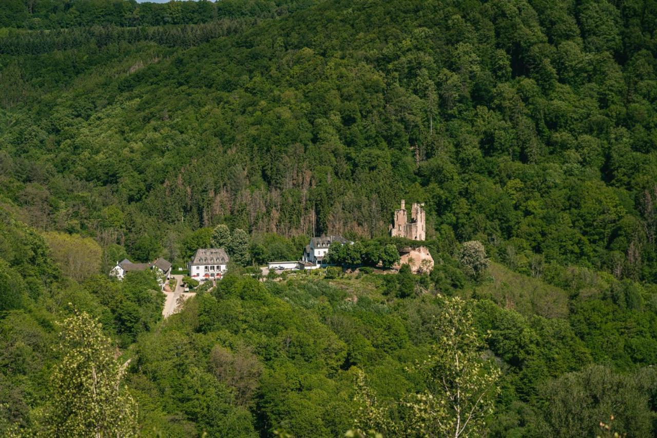 Kraeuterhotel Villa Vontenie Kordel Buitenkant foto