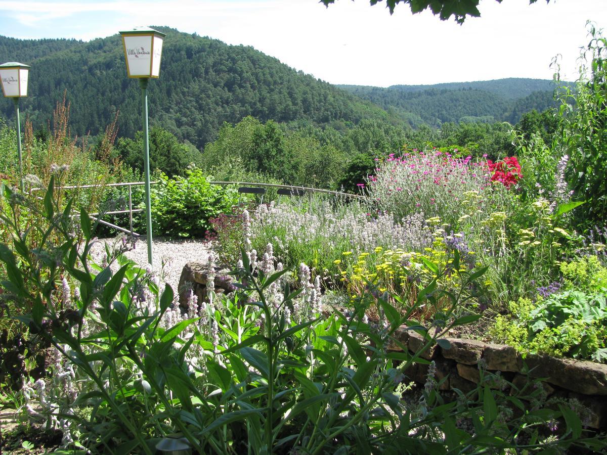 Kraeuterhotel Villa Vontenie Kordel Buitenkant foto